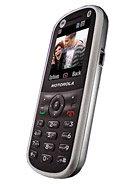 Best available price of Motorola WX288 in Sls